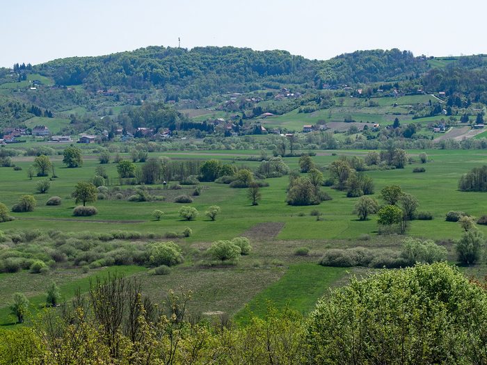 Travniki v Jovsih